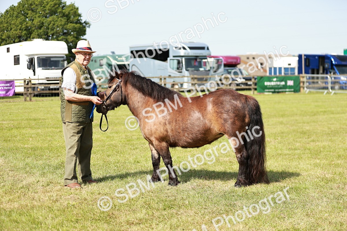 SBM_01855 - Class 14-23 - Mountain & Moorland In Hand Non Welsh