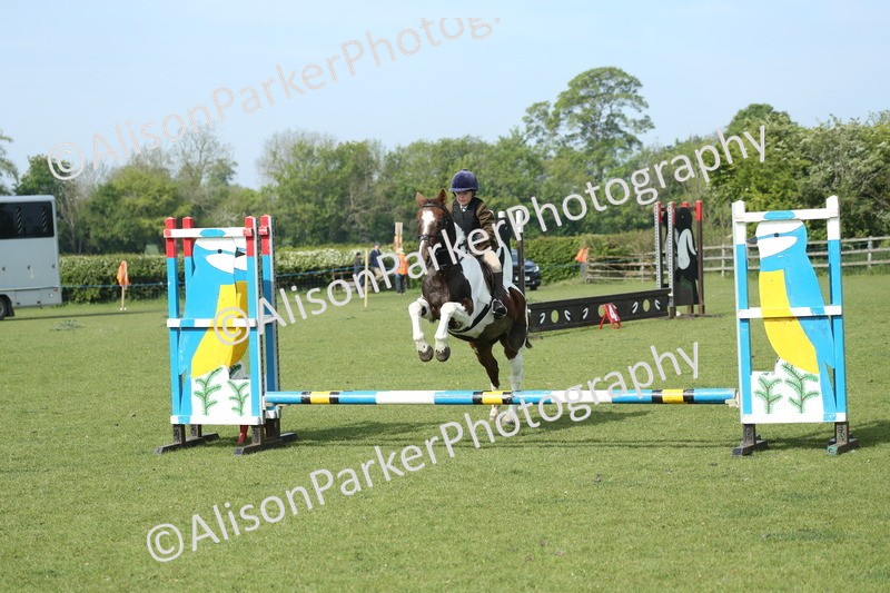 20260426-0230 - Class 13 - Rookie Jumping 50cm