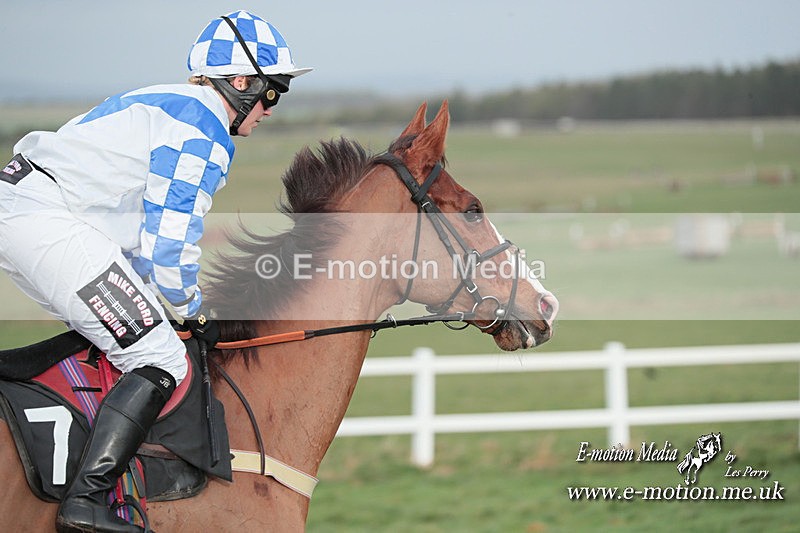 PtP 311223 239 - Larkhill Racing Club Point-to-Point 31/12/23