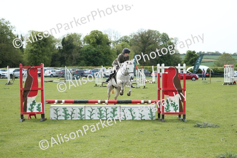 20260426-2104 - Class 15 - Absolute Novice 70cm