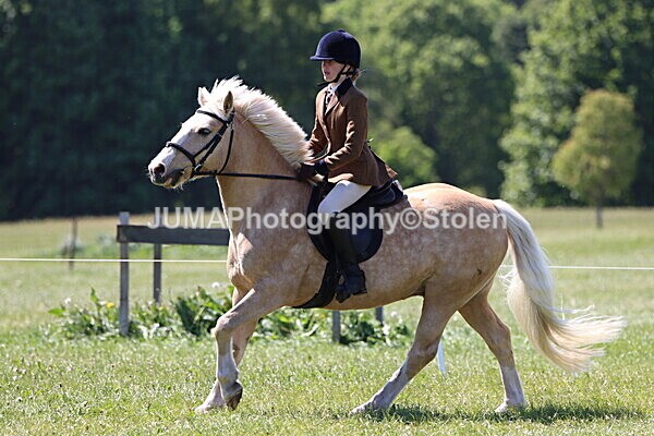 IMG_3874 - Working Hunter