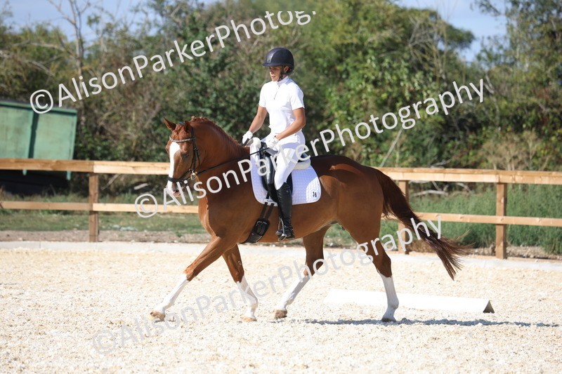20260905-1533 - Class 5 - Novice 2