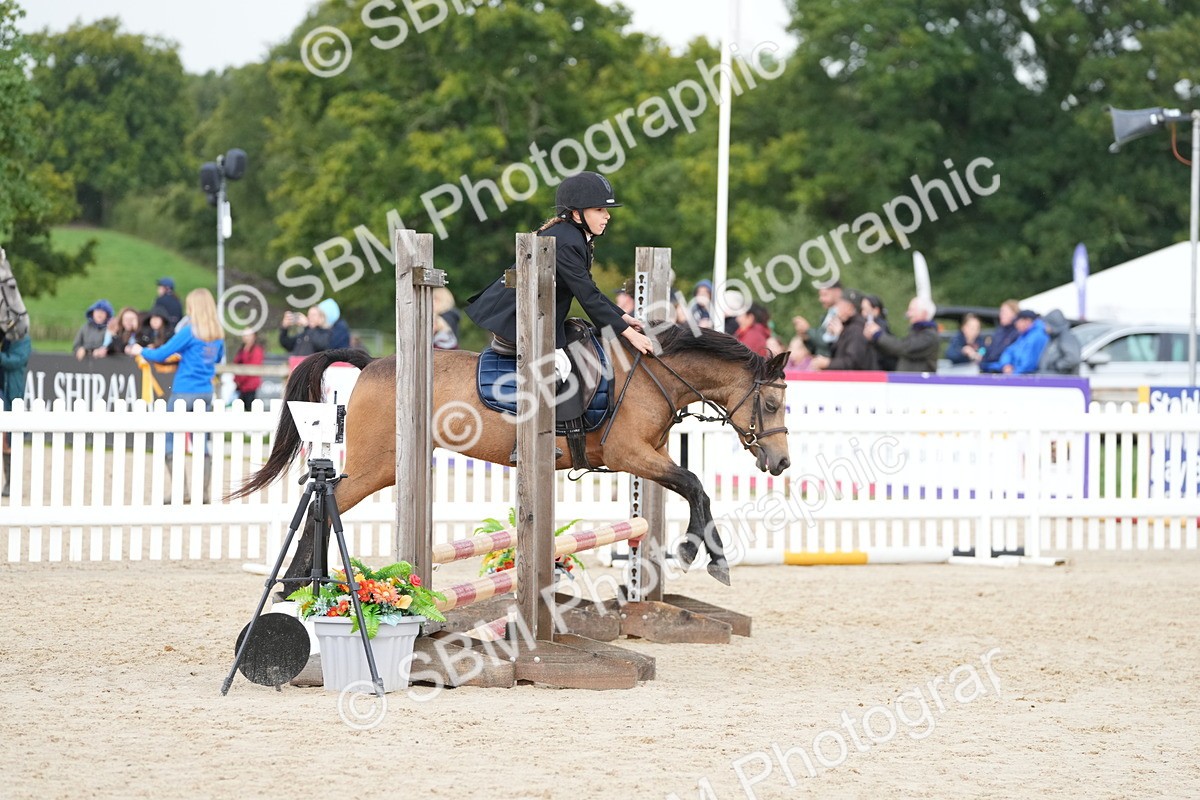 SBM_39889 - J6 - Junior Pony 55cm Championship