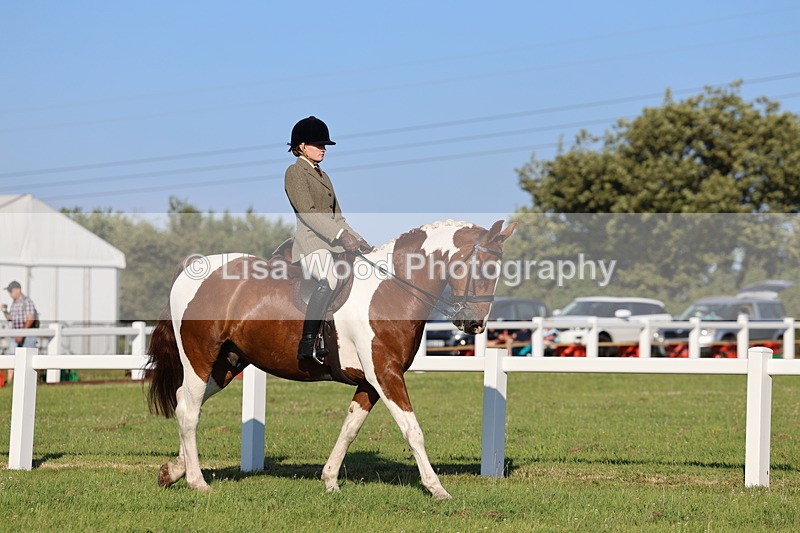 IMG_1186 - Class 27: Ridden Plaited Coloured Horse