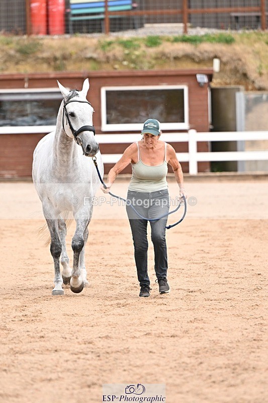 250716-151017-01715 - Trot Up 2.30 to 3.30