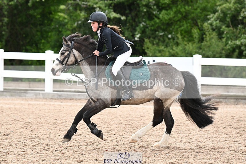 250504-142755-03612 - Cls 23 Stepping Stones