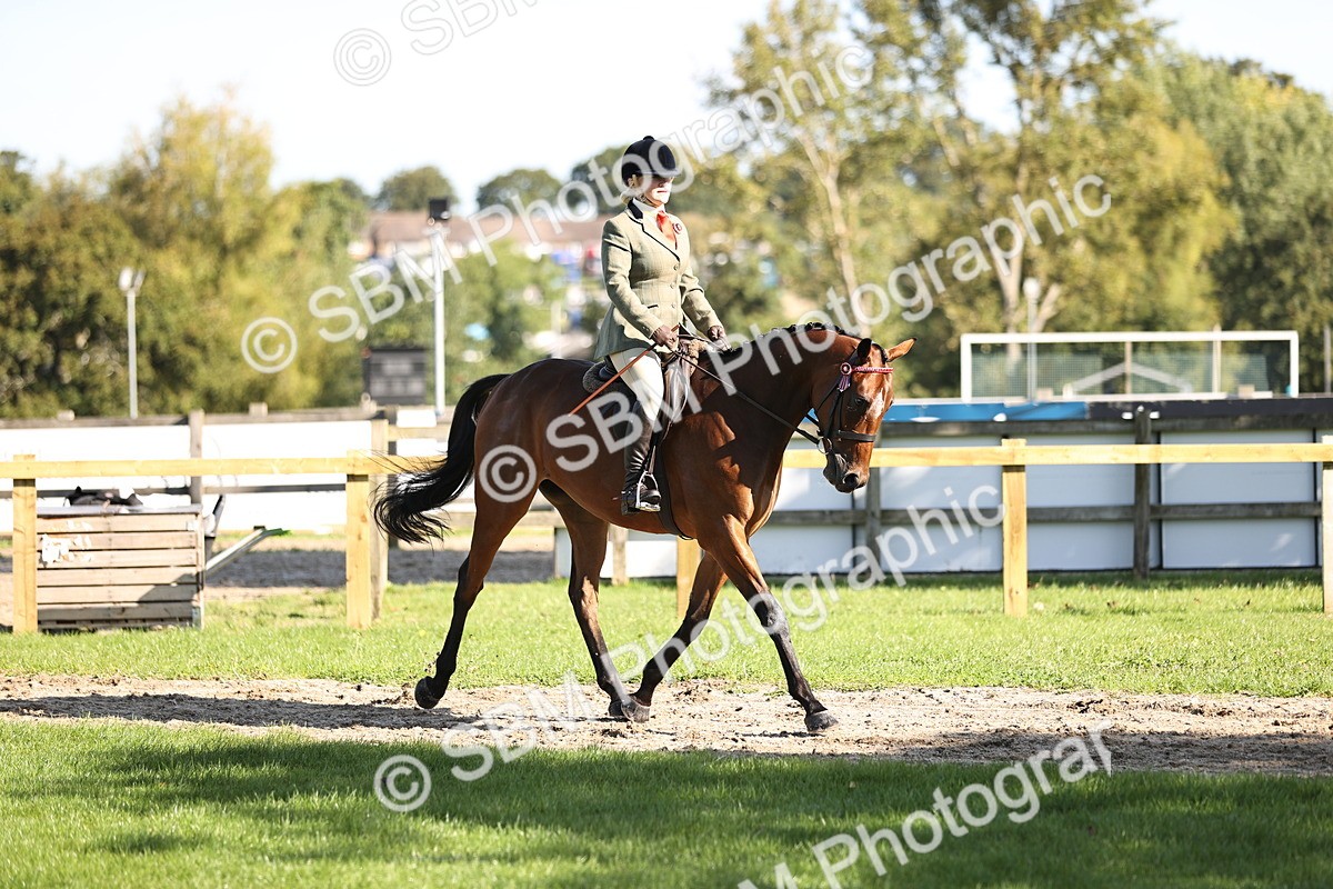 SBM_16898 - S2 - TSR Ridden Pony Showing
