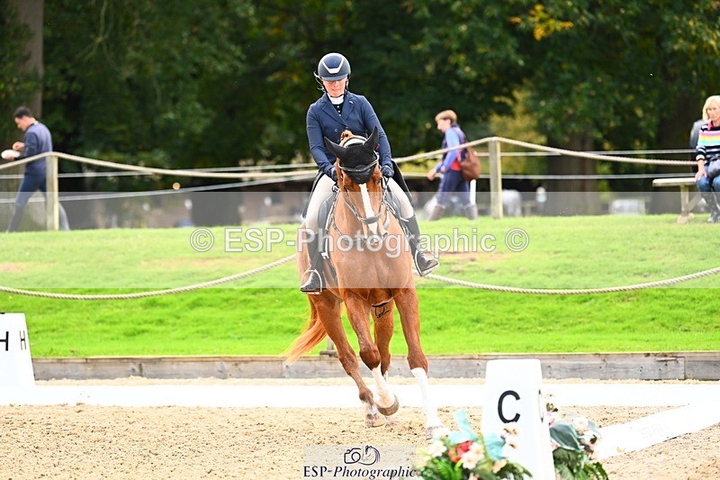 231020-145832-10057 - 311-DALOUBET.MANSOLEIN.Z-Kat.Raybould-DR