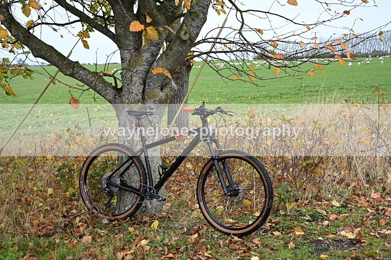 WJ6_9305 - Ride