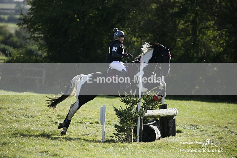  WWHT 031021 1238 - Open Novice (0.80m) 03/10/21