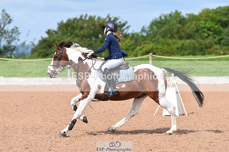 230716A-102610-02020 - Cls 35 Springboard 128cm & 138cm