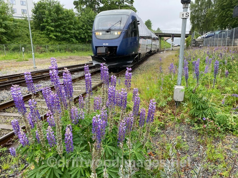 Norway Andalsnes Rauma Railway returning 3 - Norway