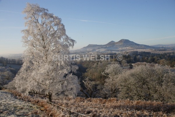 99 - SCOTTISH BORDERS