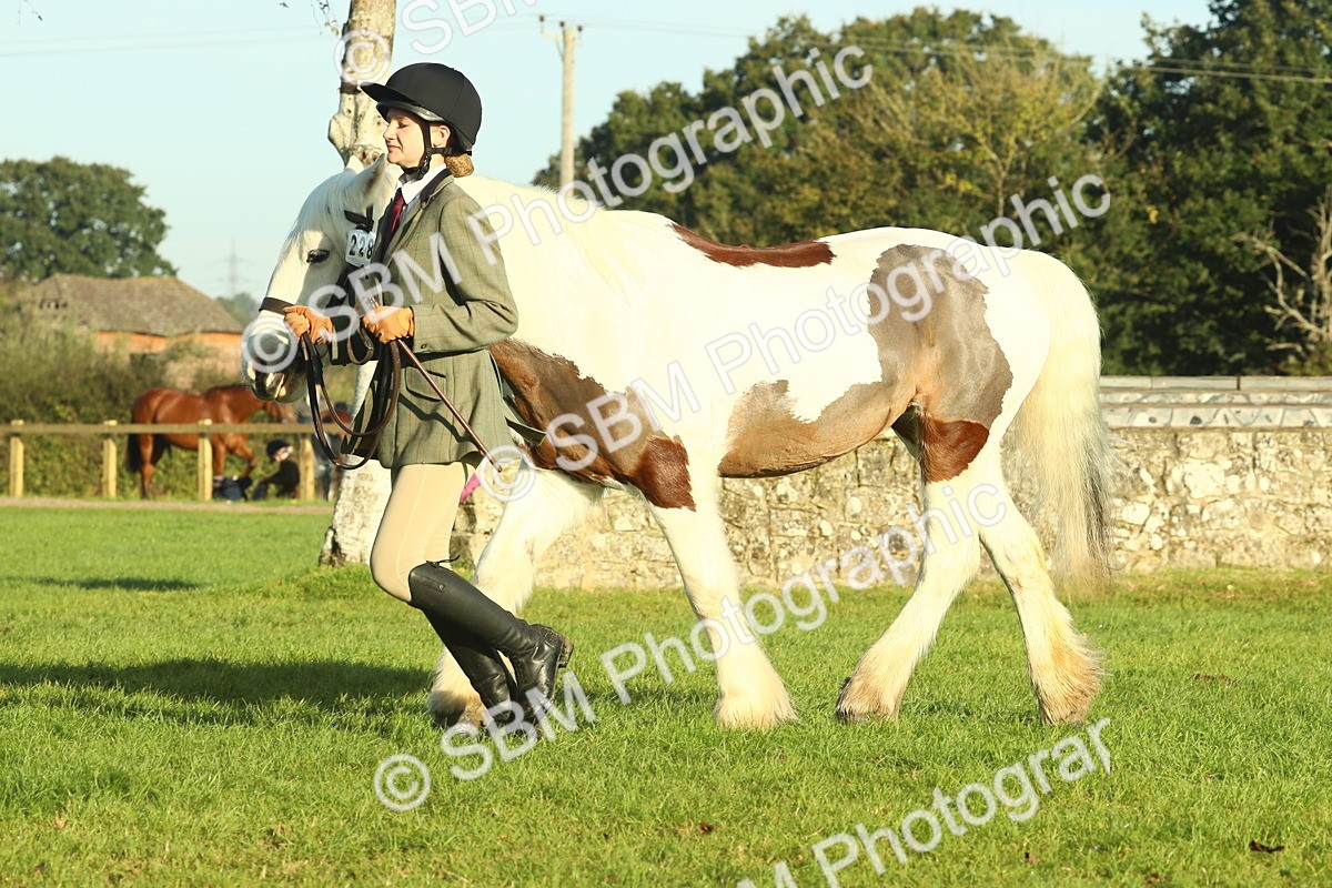 SBM_57435 - S37 - Starters In Hand Showing