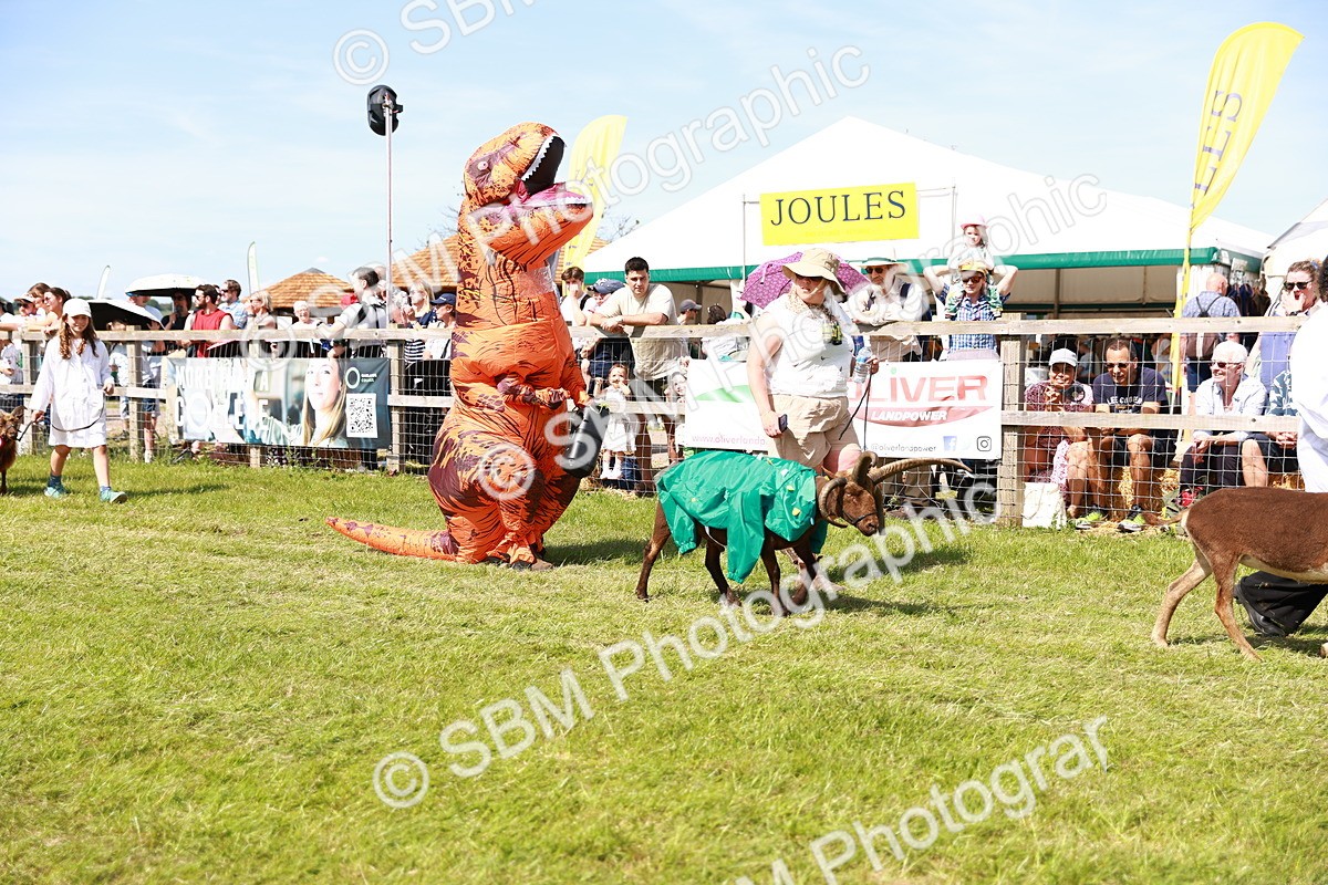 SBM_08317 - Grand Parade