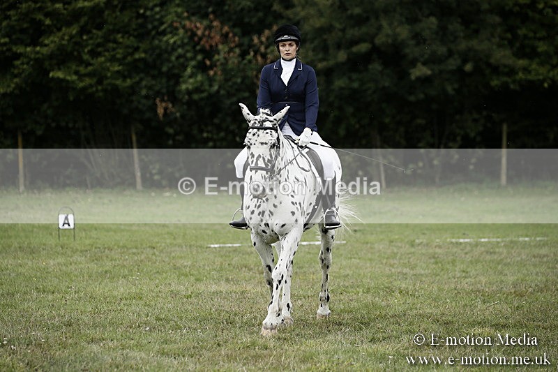 BVR080918 116 - BVRC Novice Dressage & CR 08/09/18