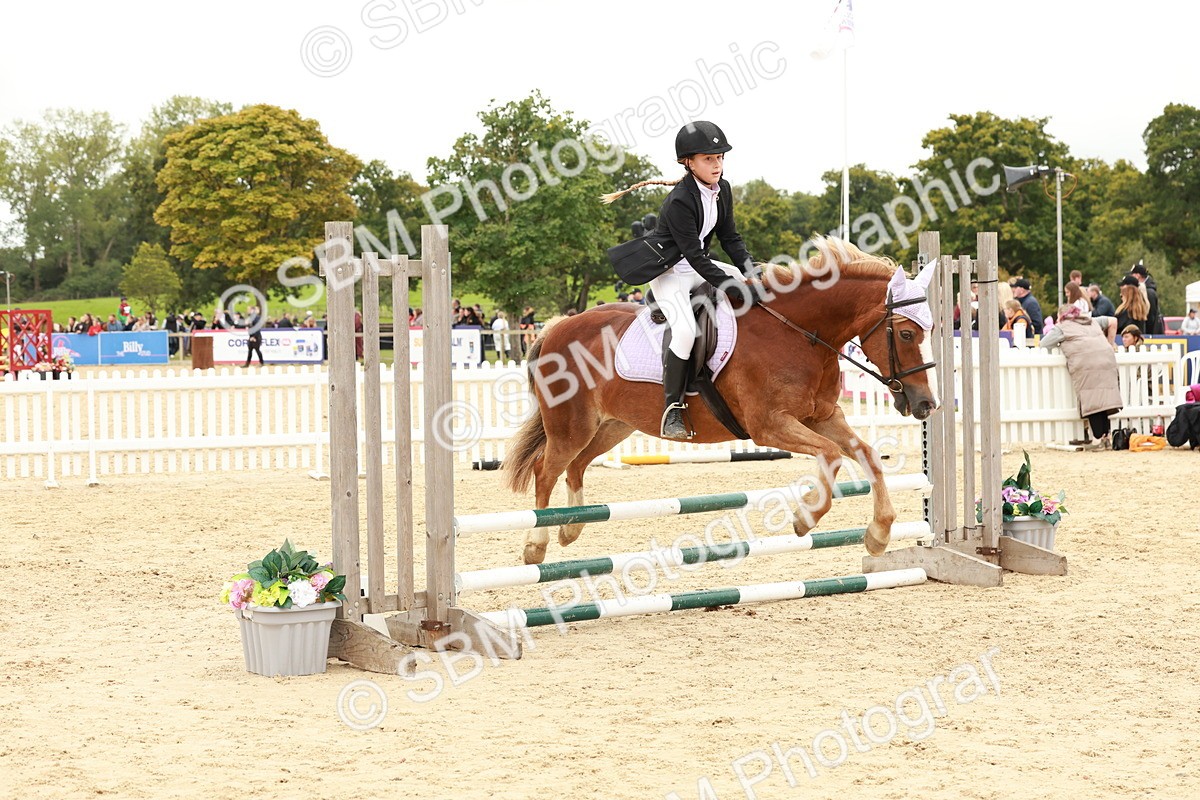 SBM_63786 - J12 - Junior Pony 55cm Championship