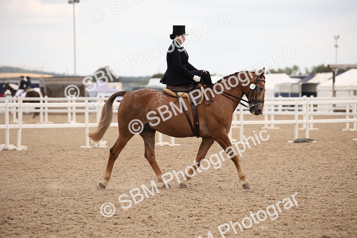 SBM_05374 - Class 22 SSA Equitation