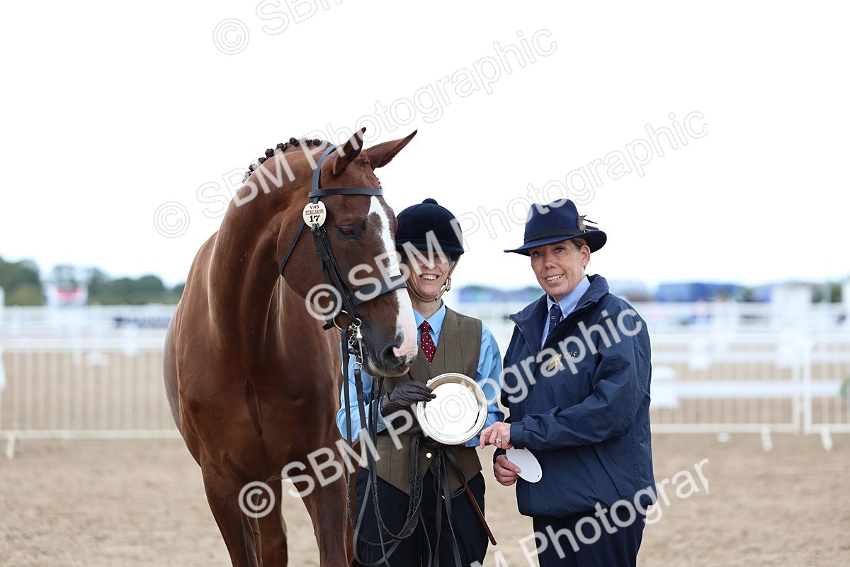 SBM_05136 - Class 27 - IH Competition Horse or Pony
