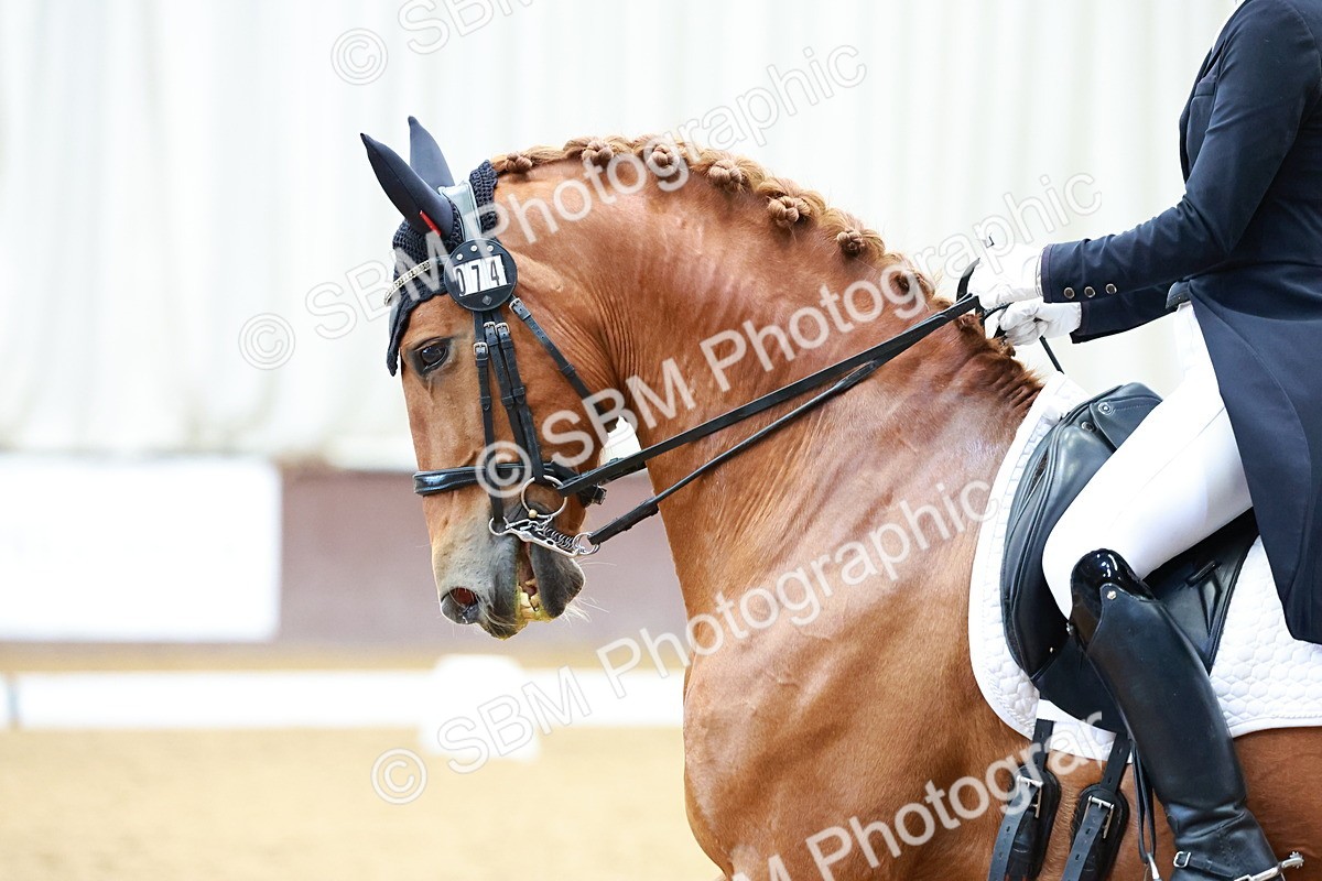 SBM_001282 - Class 12-19-16 - Lusitania-FEI INT I - PYO ADV 1