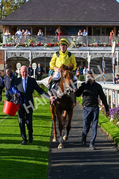 111025-Race 5-Morshdi-0575 - Race 5 Coral 'We're Here For It' EBF Maiden Stakes at York