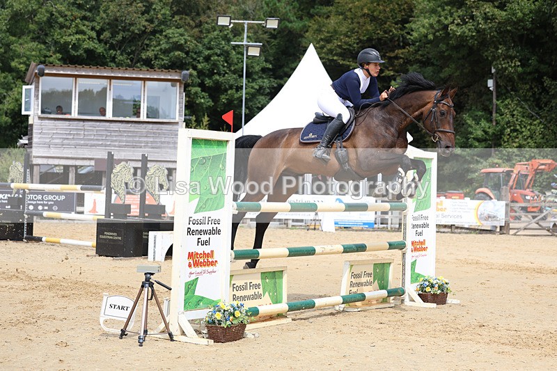 3E7A4390 - Class 8: Senior Foxhunter/1.20 open