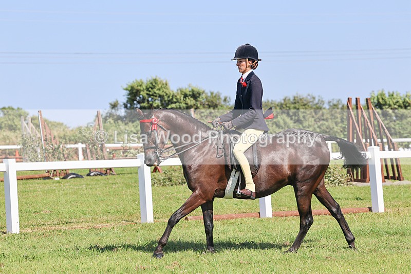 IMG_1907 - Class 33: Show Pony 148cm and under