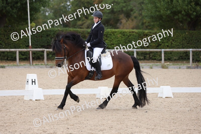 20250820-1240 - Class 18 - Elementary 5