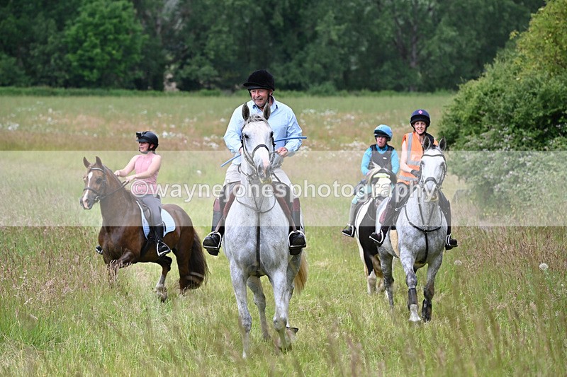 WJ6_8097 - Camera 1 Gallops