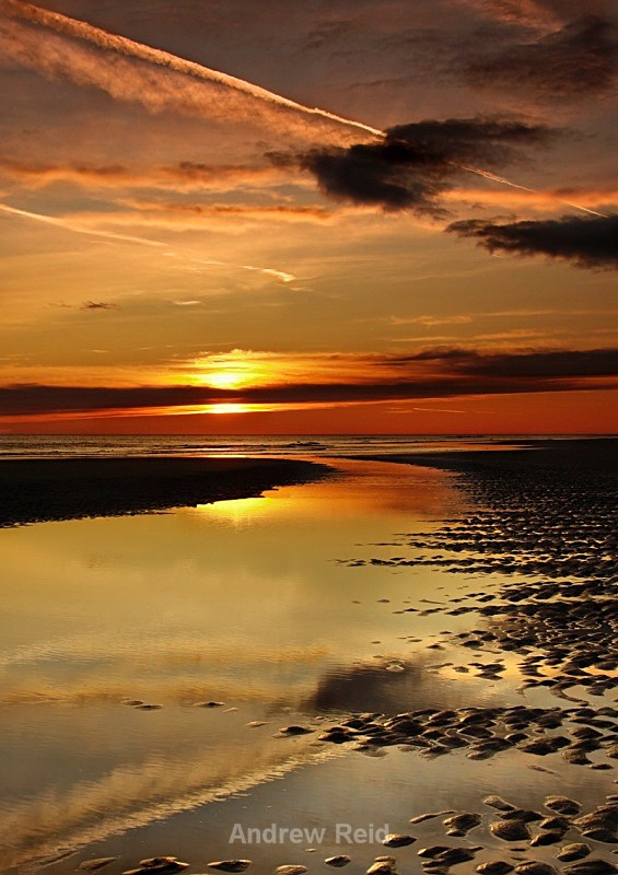  - Landscapes
