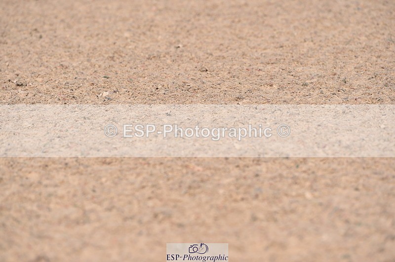 230720A-090812-01303 - Cls 25, 5 Yr Olds 1.10m