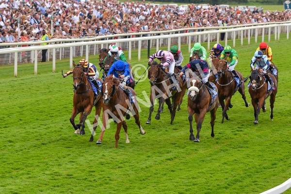 170623-Race 2-Wild Lion-6989 - Race 2 2.35pm Sky Bet Handicap