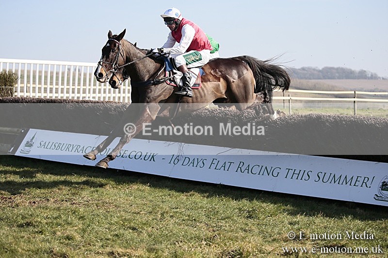 PtP 240218 262 - Vine & Craven Hunt Point-to-Point Barbury racecourse 24/02/18