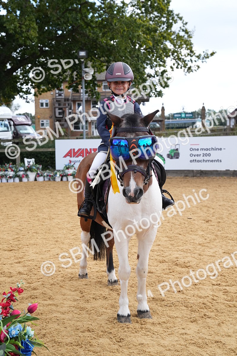 SBM_64561 - J2 - Mini Tour Junior Pony 30cm Championship