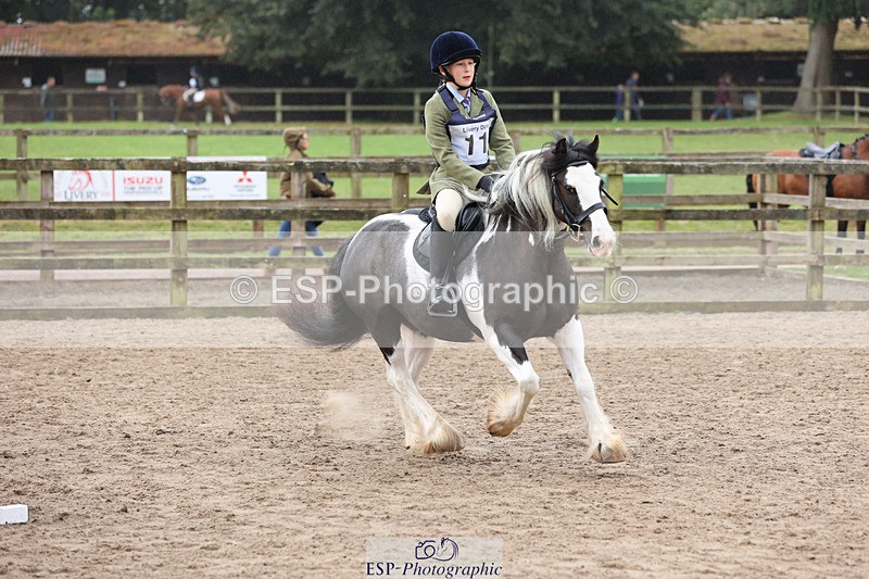 240822X-085206-00178 - 40cm R1 8.30 to 9.30