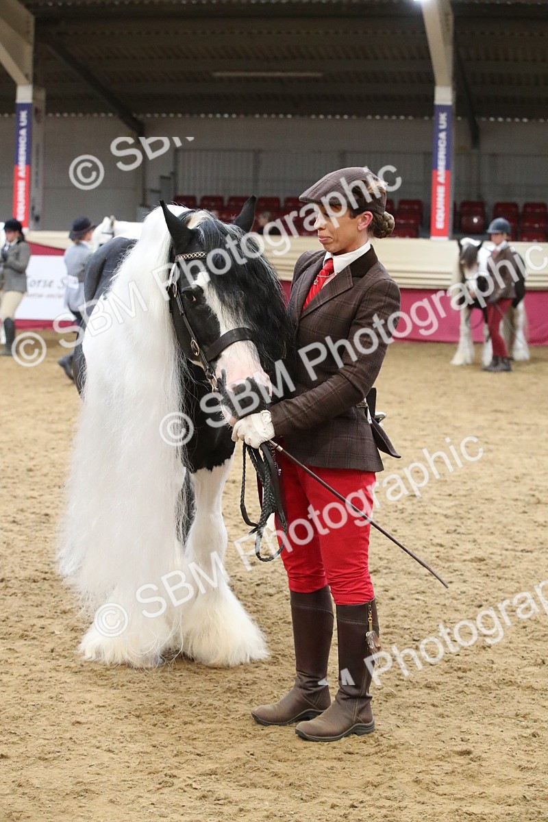 SBM_05798 - Class 9R - Regional IH Pre-Vet