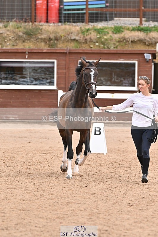 250716-144137-01313 - Trot Up 2.30 to 3.30