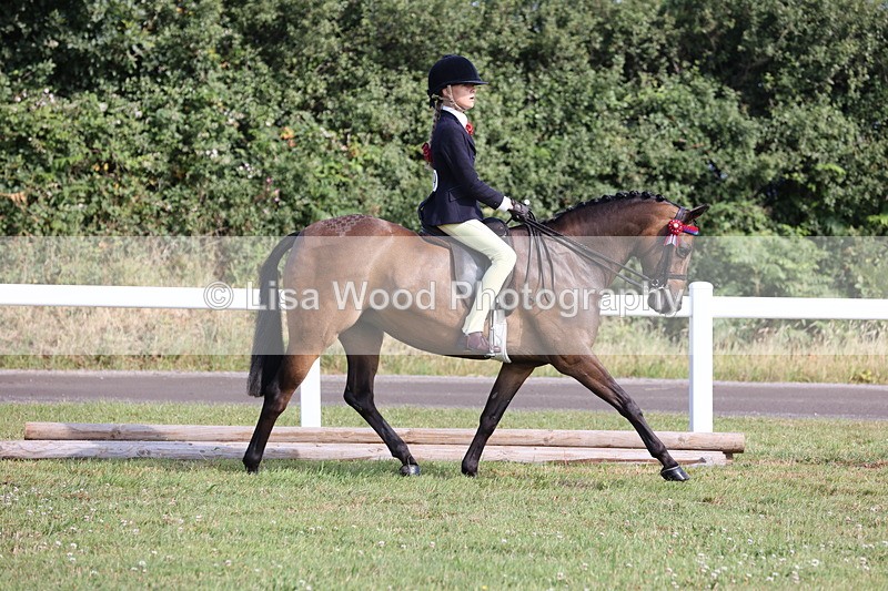 JPP_0664 - Class 16: Cornish Combination Young Rider