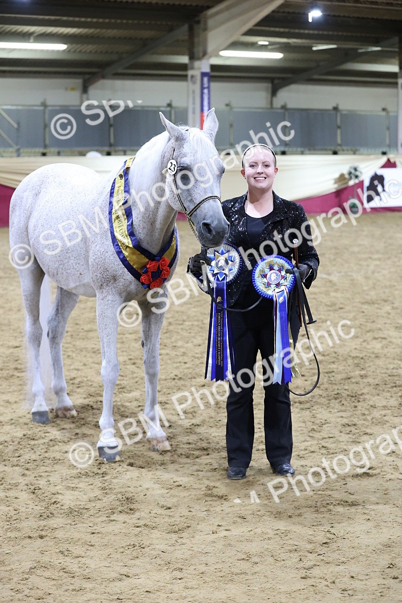 SBM_20742 - Class J - Foreign Breeds Champ