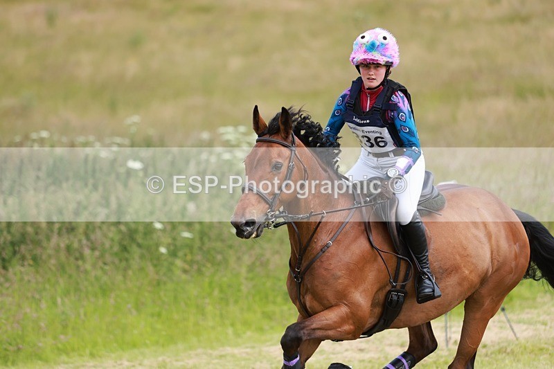 240630X-140435-7147 - 336-Tichy_Sanders-SPARHANGER_VELVET