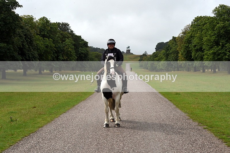 TT3_8266 - Time at Crossing 10:16 to 11:38