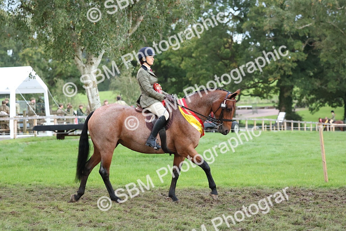 SBM_53392 - Super Supreme Championship (Sat)