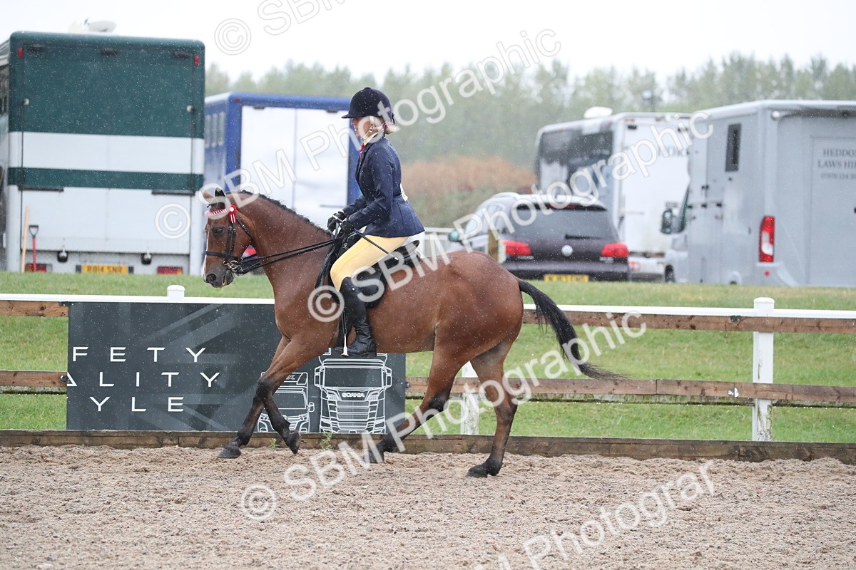 SBM_20456 - Class 601 - 2025 Area - Ridden Diamond