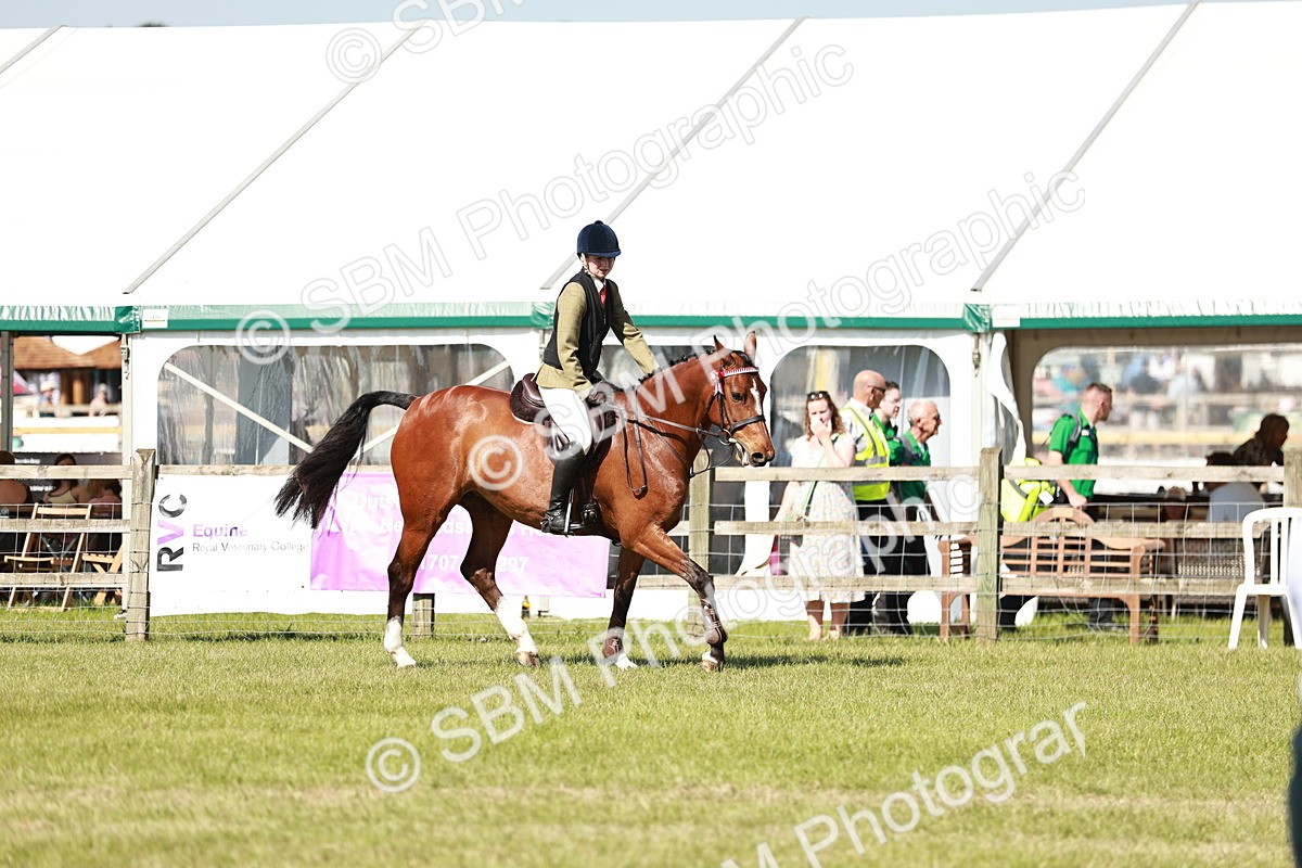 SBM_18804 - Class 114 - RIHS & SEIB Open Working Show Horse