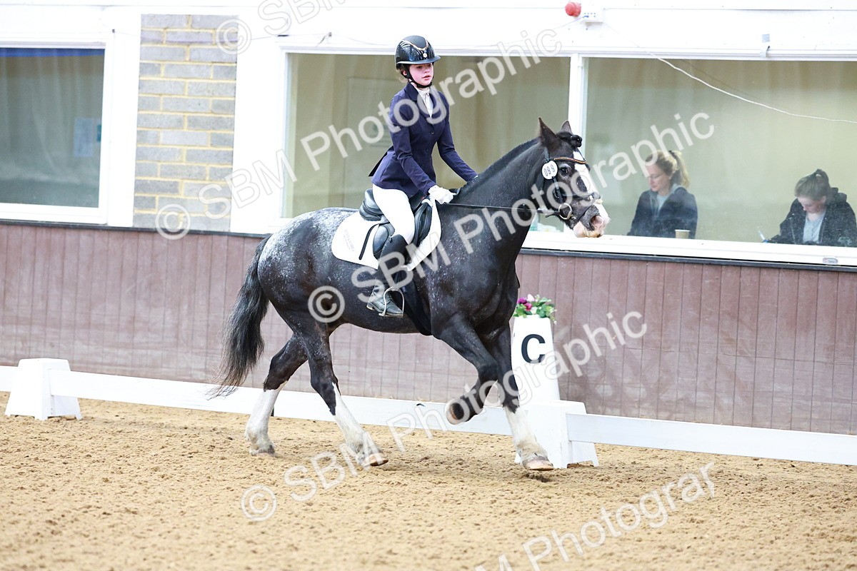 SBM_000228 - Class 3 -  CT Prelim 2/60cm