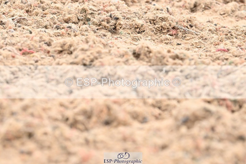 250705-175536-04345 - N2 Section BDNOV2 16.29 to 17.46