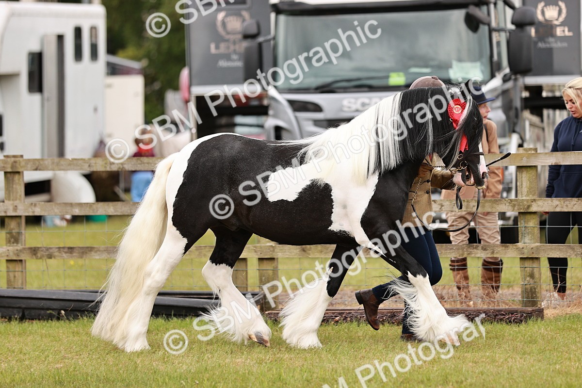 SBM_04730 - Class 5-8 - BSPA In hand