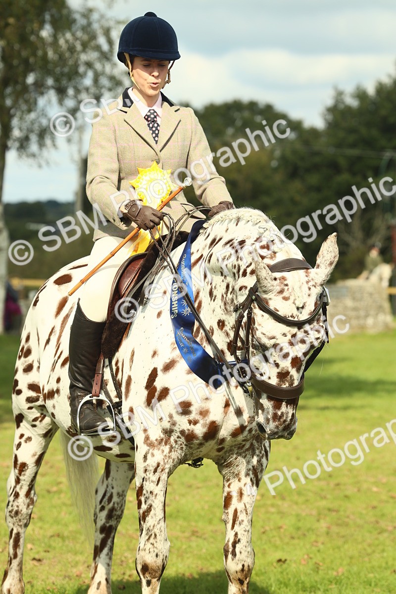 SBM_62527 - S62 - Foreign Breeds Ridden