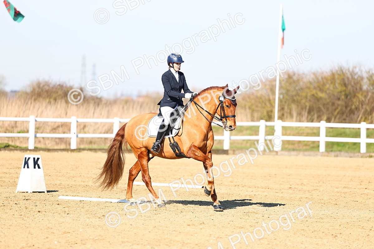 026A8519 - Class 2-6-5-4 - Paso Doble-Sevilla-Golega-Novato