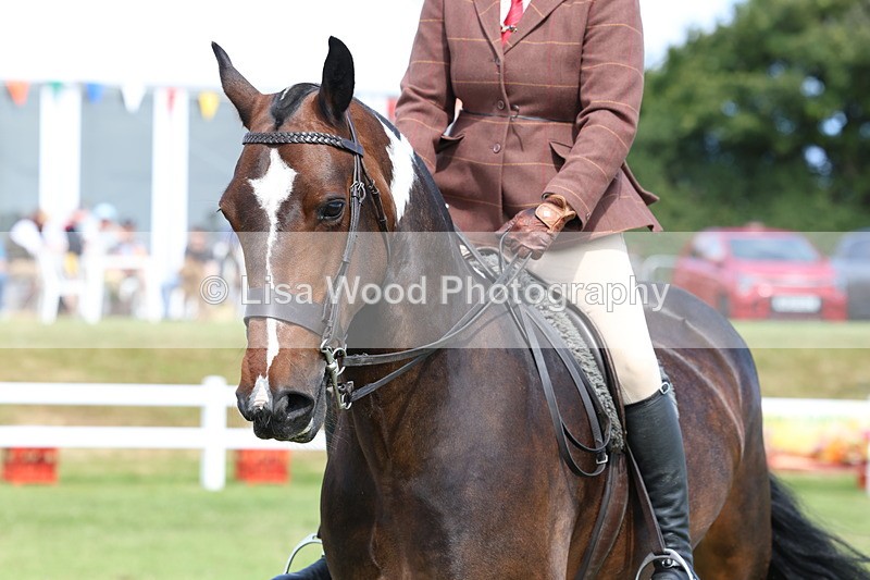 3E7A9973 - Class 5: Rising Star Lightweight/Heavyweight Cobs